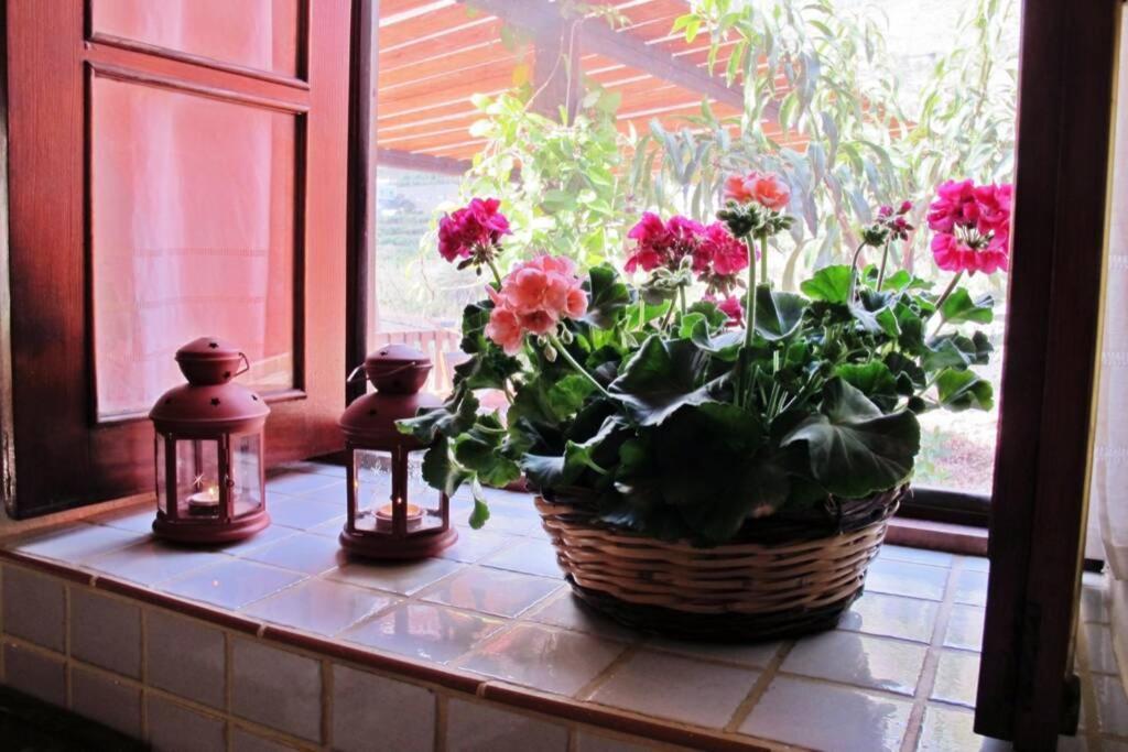 Casa Rural La Pitanga Hermigua Exteriér fotografie
