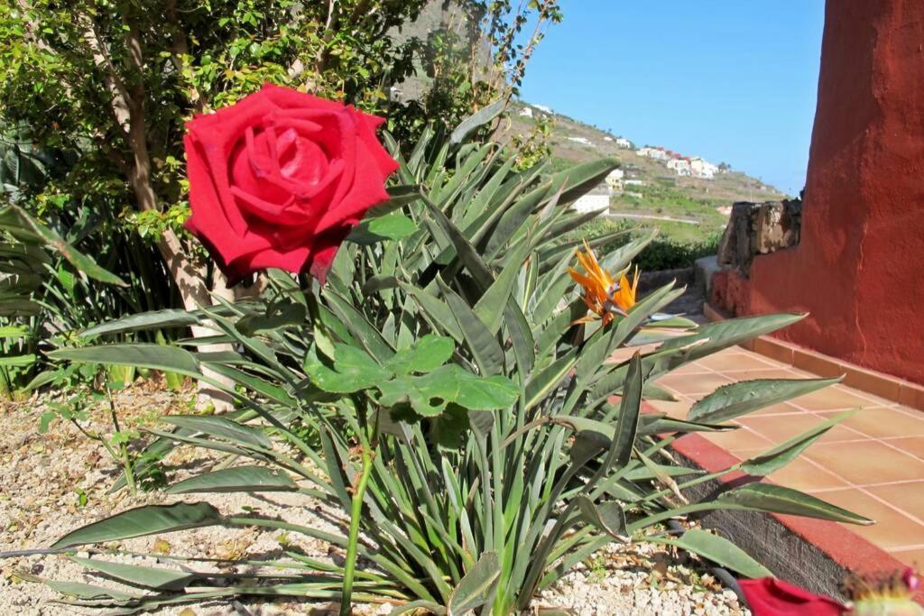 Casa Rural La Pitanga Hermigua Exteriér fotografie