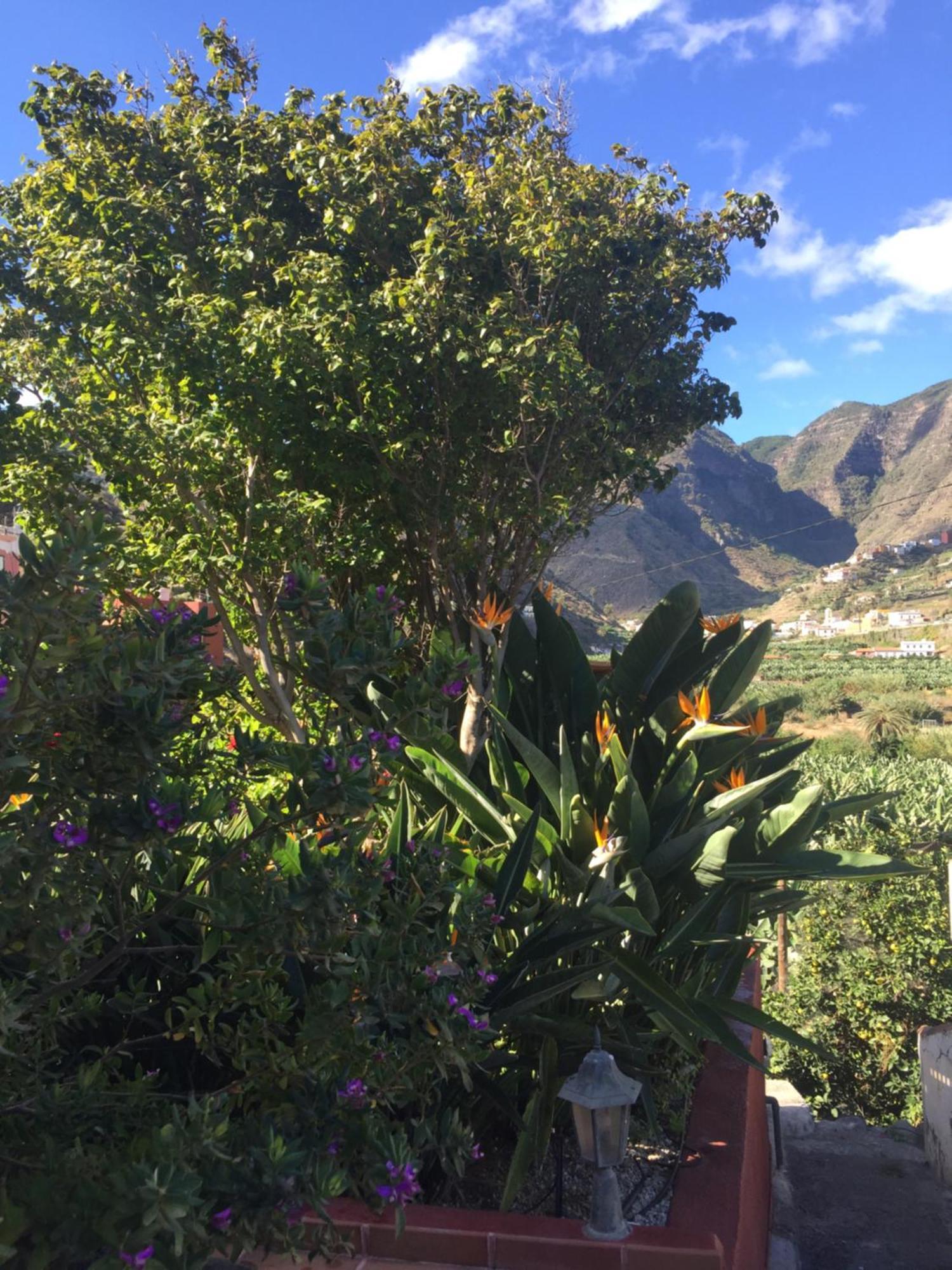 Casa Rural La Pitanga Hermigua Exteriér fotografie