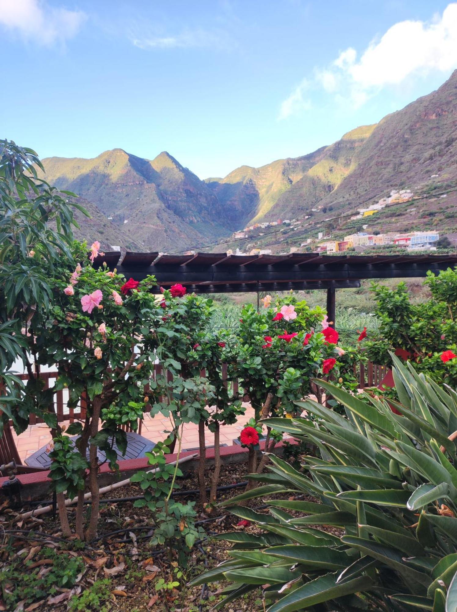 Casa Rural La Pitanga Hermigua Exteriér fotografie